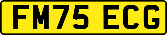 FM75ECG