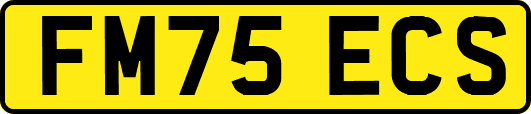 FM75ECS