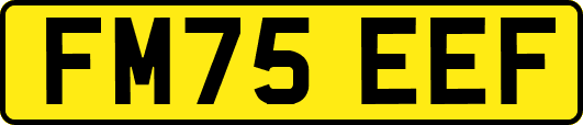 FM75EEF