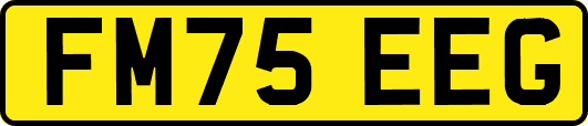 FM75EEG