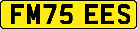 FM75EES