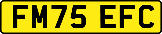 FM75EFC