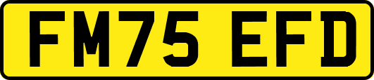 FM75EFD