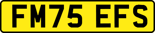 FM75EFS
