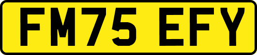 FM75EFY