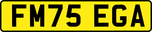 FM75EGA