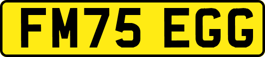 FM75EGG