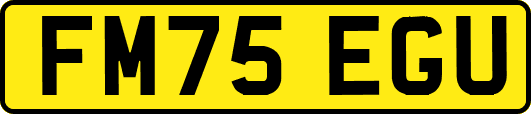 FM75EGU