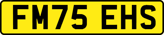 FM75EHS