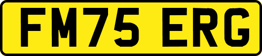 FM75ERG