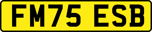 FM75ESB