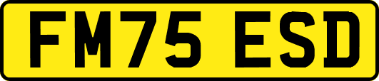 FM75ESD