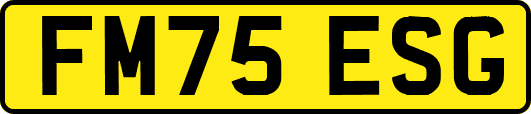 FM75ESG