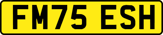 FM75ESH