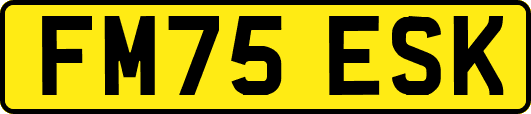 FM75ESK