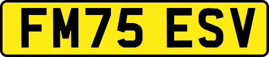 FM75ESV