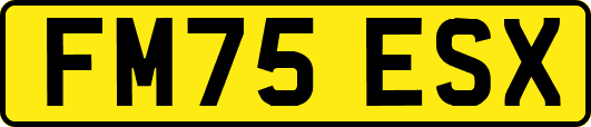 FM75ESX