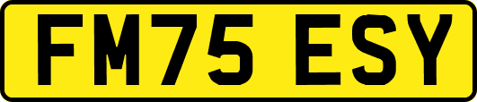 FM75ESY