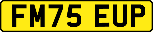 FM75EUP