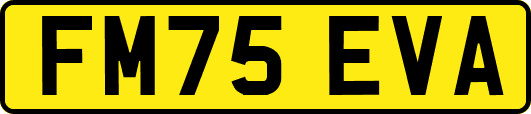 FM75EVA
