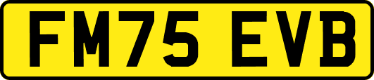 FM75EVB