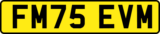 FM75EVM