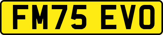FM75EVO