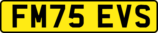 FM75EVS