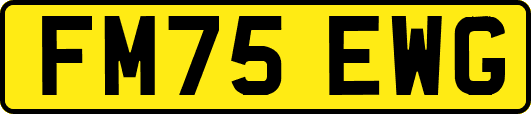 FM75EWG