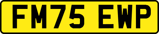 FM75EWP