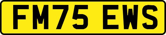 FM75EWS