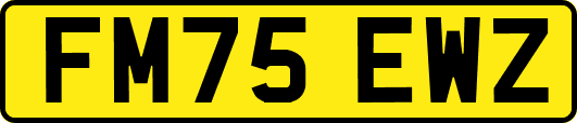 FM75EWZ