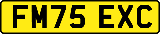 FM75EXC
