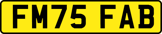 FM75FAB