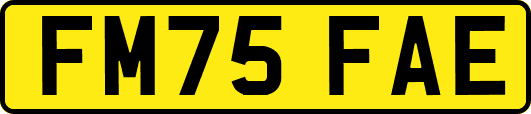 FM75FAE