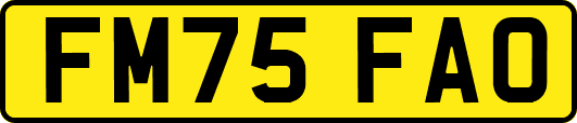 FM75FAO