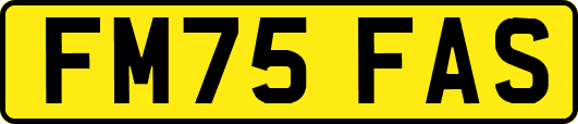 FM75FAS