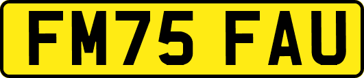 FM75FAU