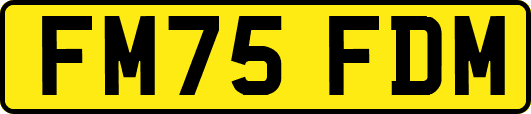 FM75FDM