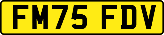 FM75FDV
