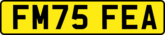 FM75FEA