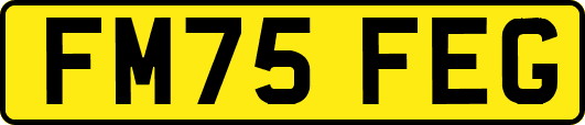 FM75FEG