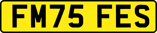 FM75FES