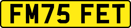 FM75FET