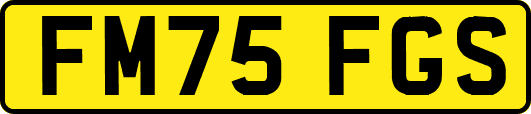 FM75FGS