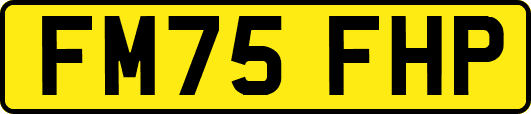 FM75FHP