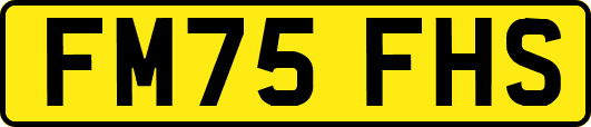 FM75FHS