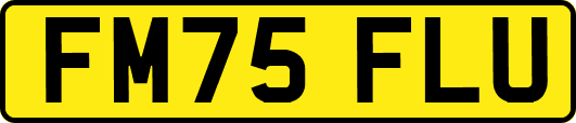 FM75FLU