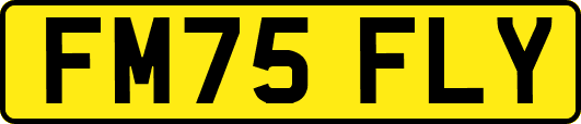 FM75FLY