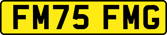 FM75FMG